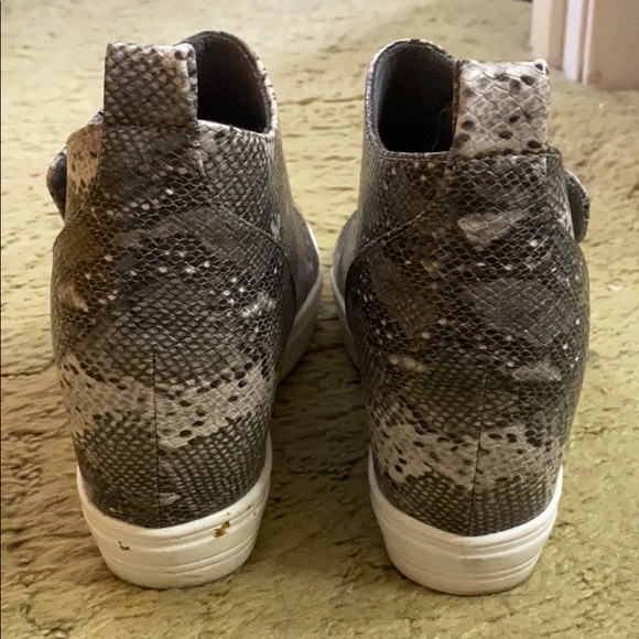 CCOCCI SNAKE PRINT WEDGE SNEAKER SHOE SIZE 7 1/2 - Picture 3 of 4